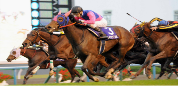 Kyoto Racecourse