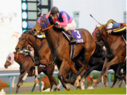 kyoto-racecourse