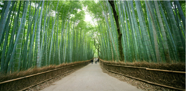 Arashiyama